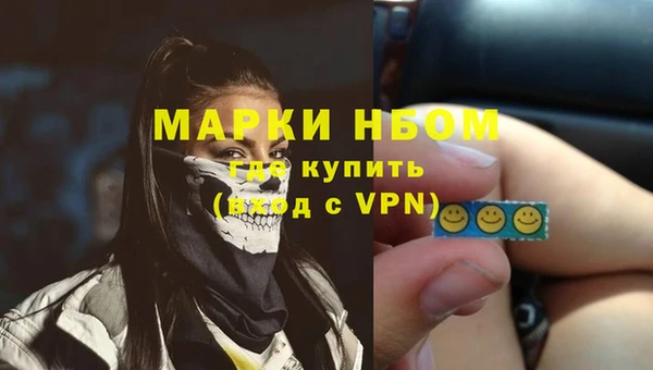 твердый Абаза