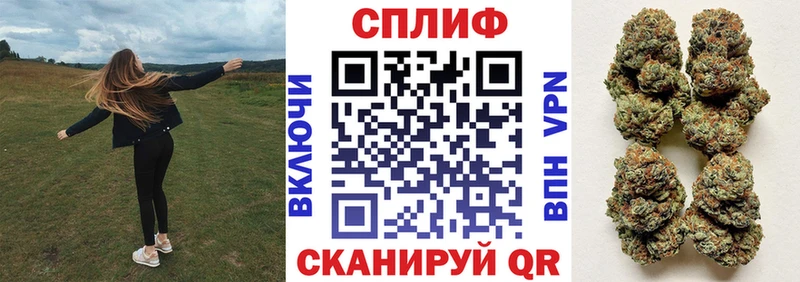 Бошки марихуана гибрид  цены   Анапа 